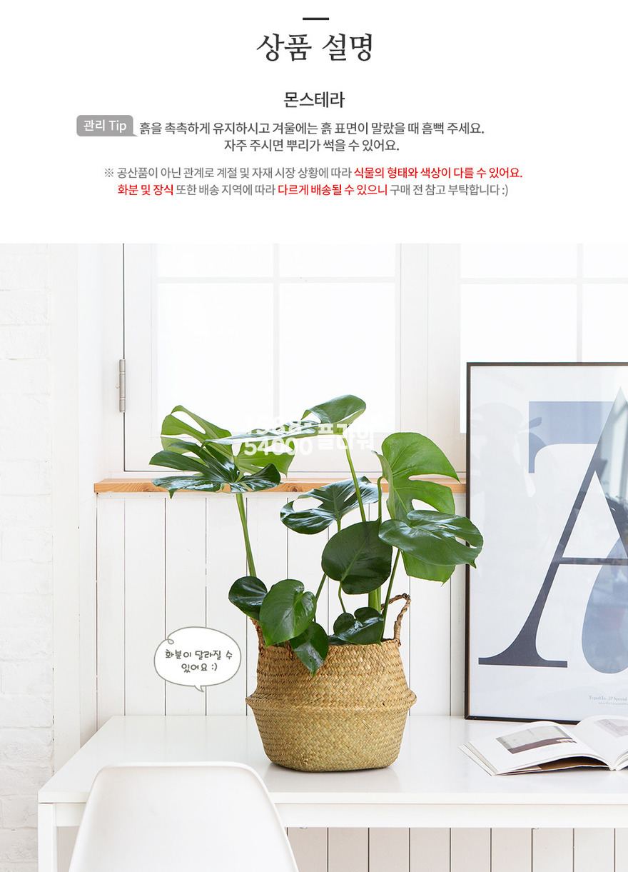 상세이미지