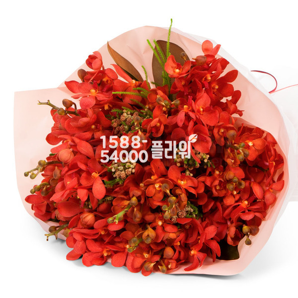 모카라꽃다발(빨강)