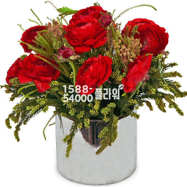 나넌큐러스화병