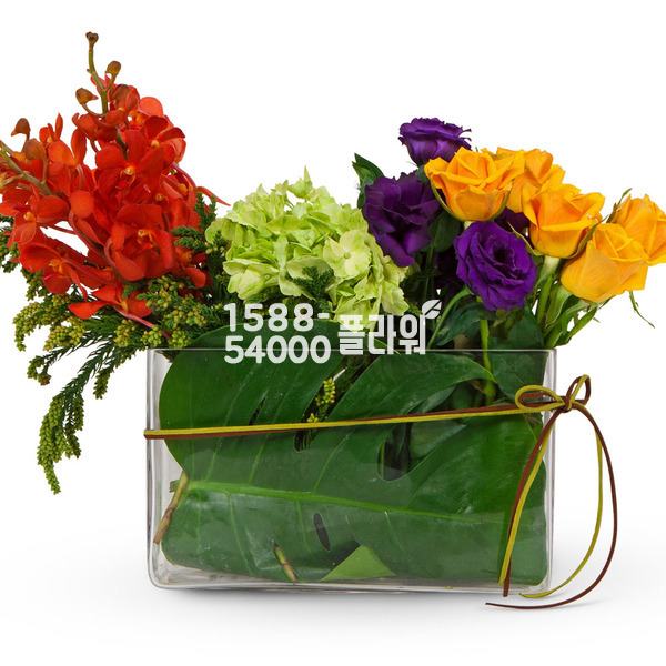 러브러브