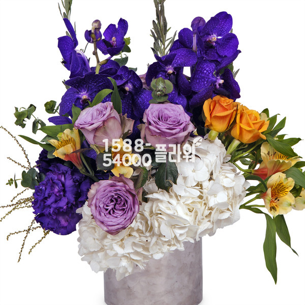 보라빛화병
