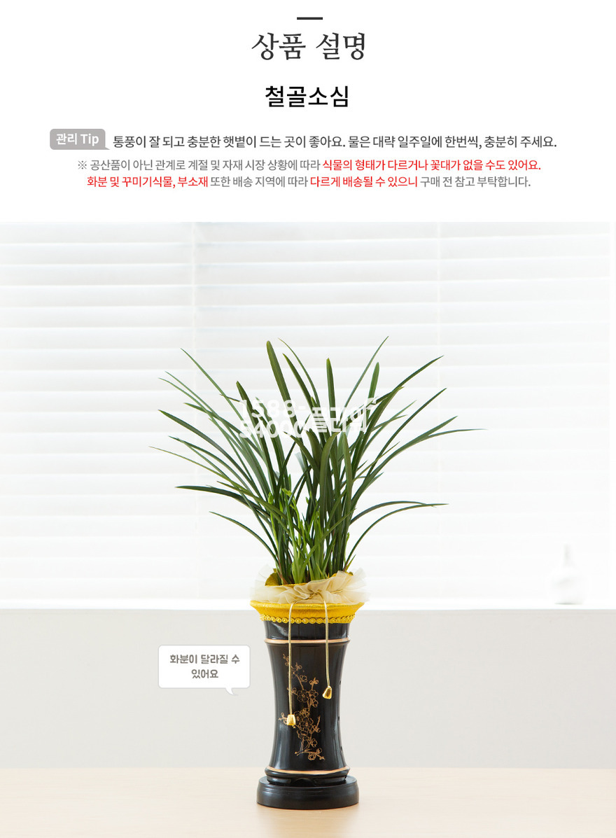 상세이미지