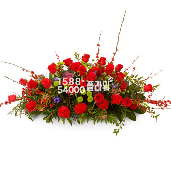 사방화7호