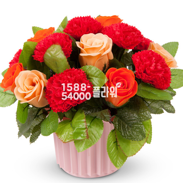 비누꽃_빨강원형