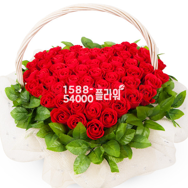 하트비누꽃(79송이)