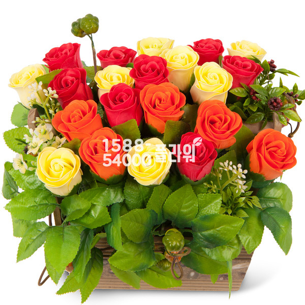 비누꽃15호