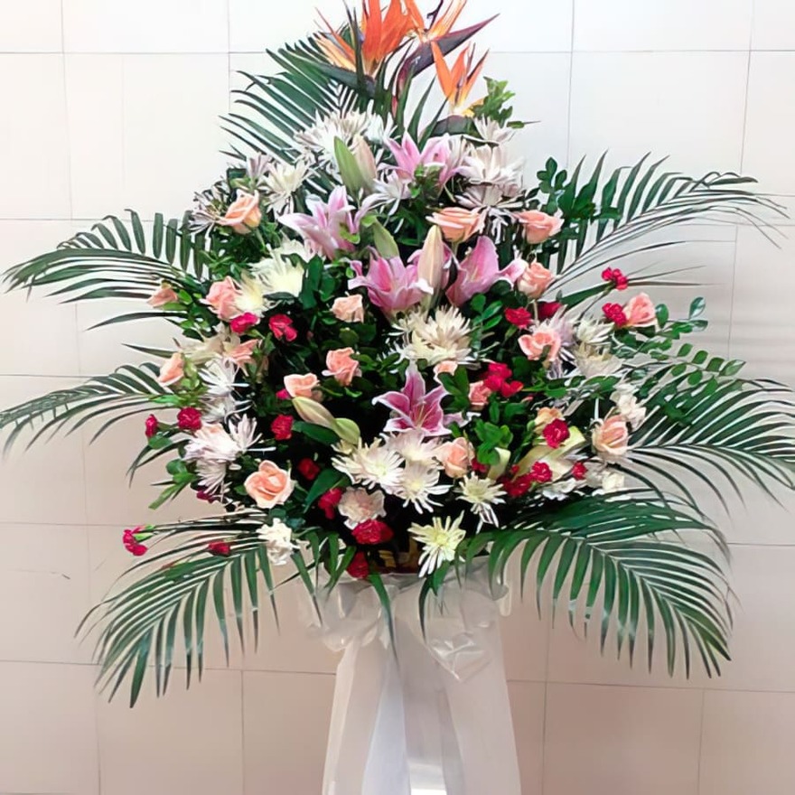 상세이미지