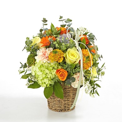Orange Blossom